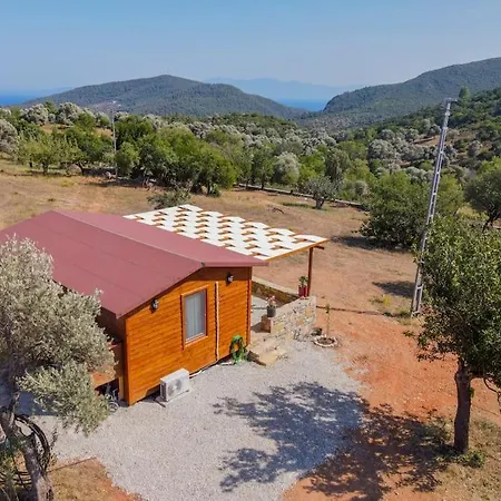 Yaliciftlikde Dogayla Ic Ice Tatil Bodrum