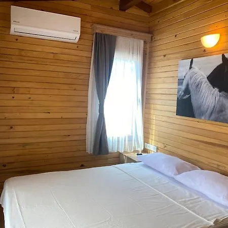 Yaliciftlikde Dogayla Ic Ice Tatil Σαλέ Αλικαρνασσός